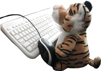 Tiger Zack behind a PC